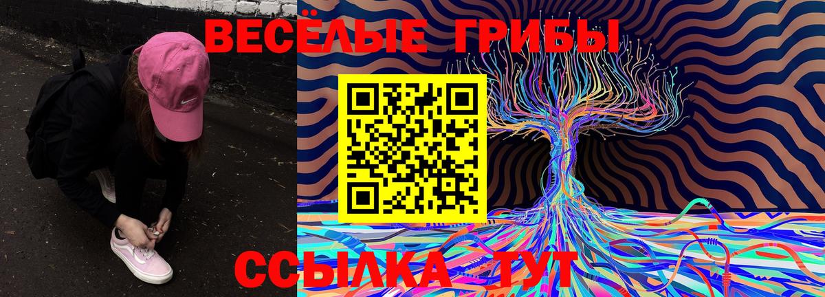 Галлюциногенные грибы Psilocybine cubensis Белая Калитва
